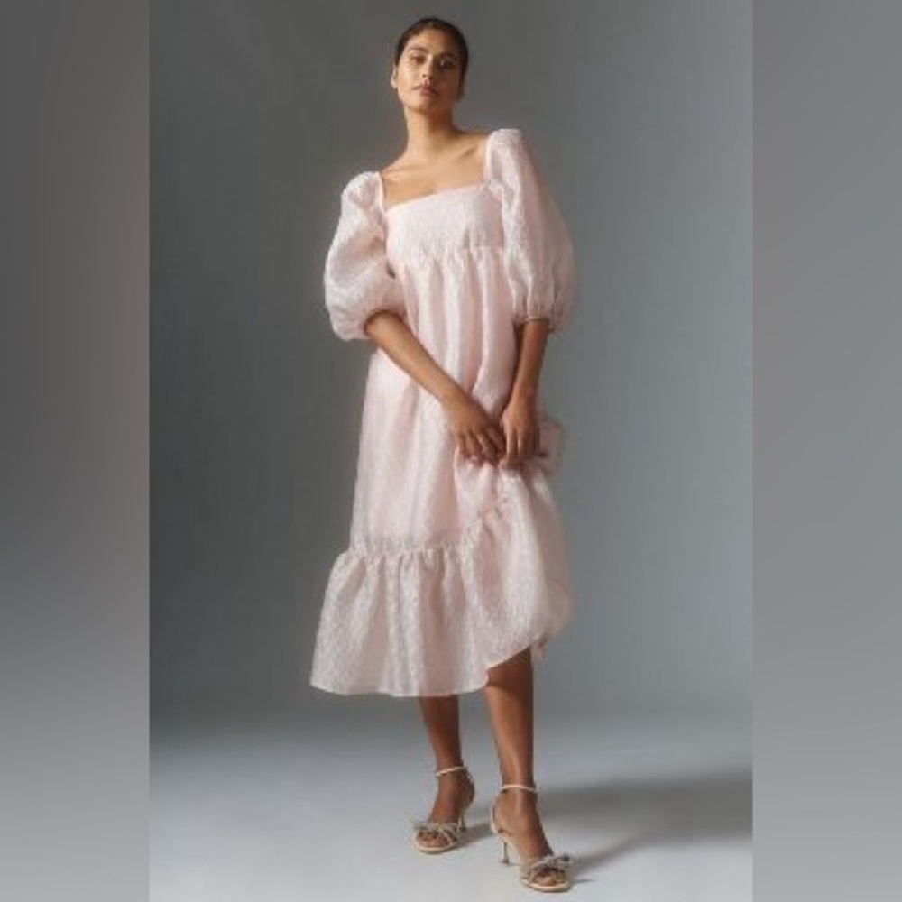 NWT Anthropologie Textured Puff Sleeve Dress - XL